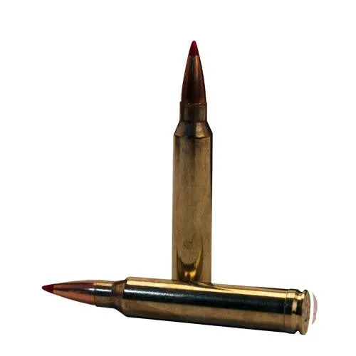 300 Winchester Magnum - 200 Grains, ELD-X, Per 20