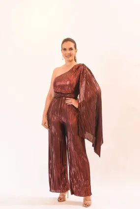 Awesome Metalic Jumpsuit